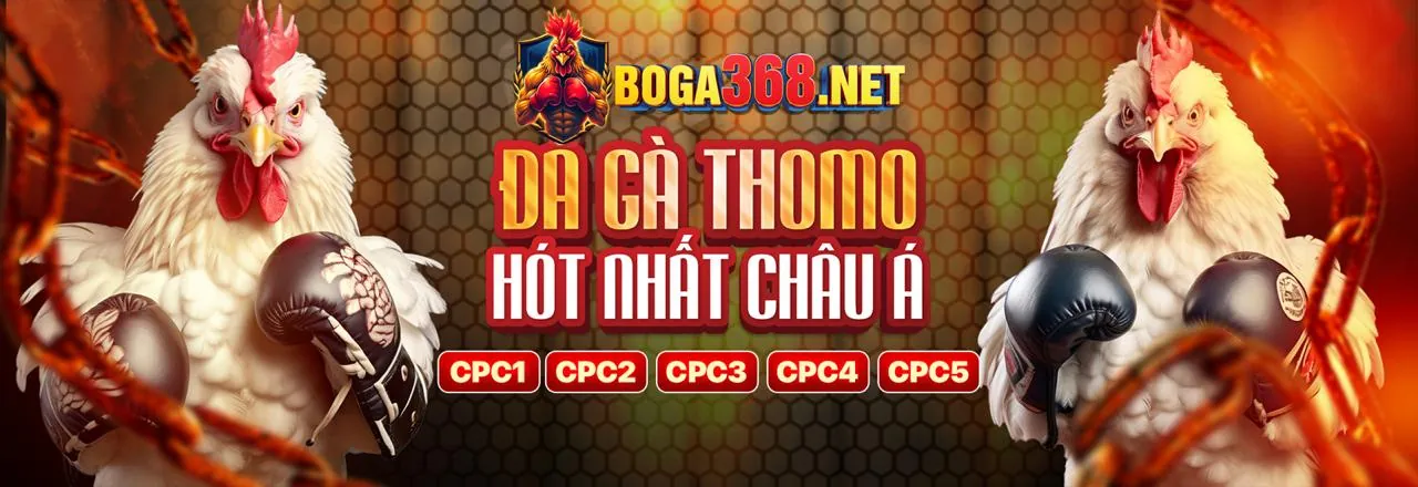 Đá gà trực tuyến 84vn