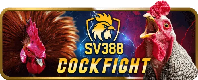 Ưu đãi hấp dẫn 84vn